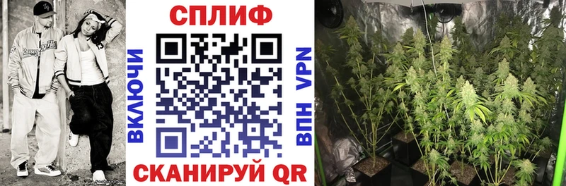 Наркошоп купить Гашиш  Кокаин  Меф мяу мяу  A PVP  МАРИХУАНА  Снежногорск