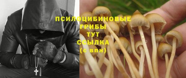 каннабис Новодвинск