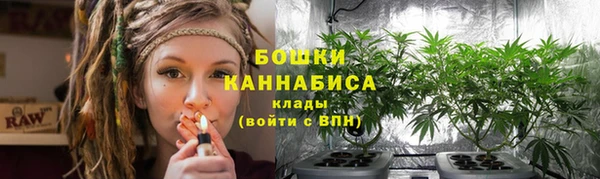 каннабис Новодвинск