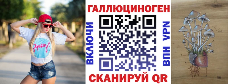 Купить где  Снежногорск  Псилоцибиновые грибы мицелий 